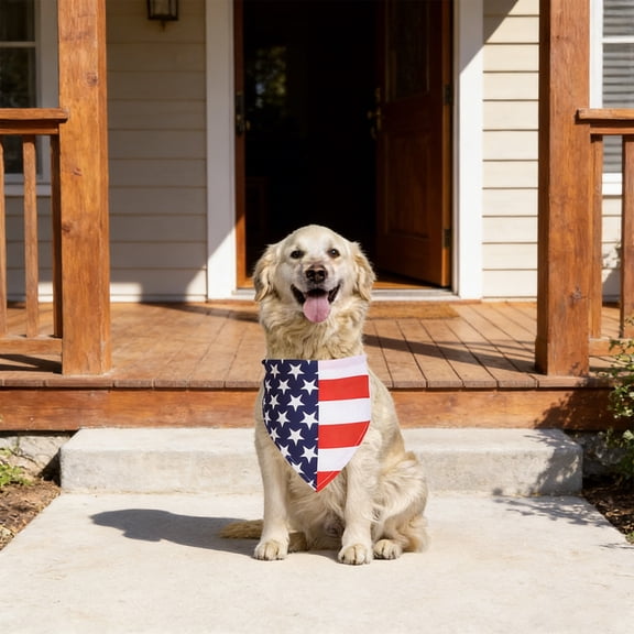 Small Dog Bandana Cat Bandana Collar Outdoor American Flag Small American Flag Patriotic Pet Scarf for 4Th of July Home Party