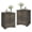 Grayish Brown, variant on Set of 2 End Tables with 2 Drawers, Grayish Brown Wood Sofa Side Tables with Storage for Living Room