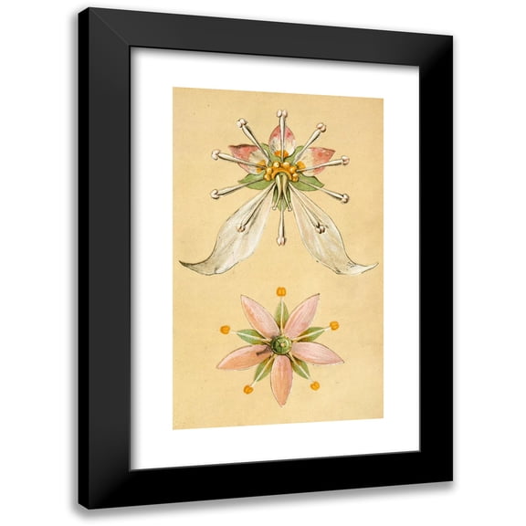 Christopher Dresser 10x14 Black Modern Framed Museum Art Print Titled - The Art of Decorative Design Pl14 (1862)