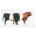 thumbnail image 1 of Great BIG Canvas | Rolled Mark Adlington Poster Print entitled Belties, 2006, 1 of 4