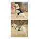 thumbnail image 5 of Táctico Pechera Arnés Con Correa Para Perro Mediano Grande, 5 of 8