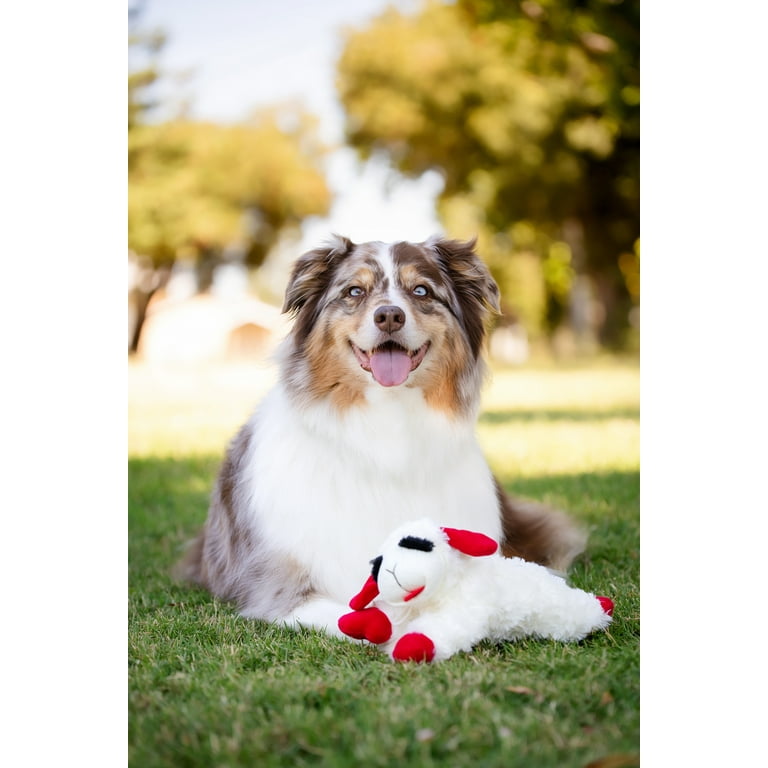 Multipet Lamb Chop Dog Toy - Icy Blue Winter Wonderland Plush