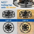 thumbnail image 4 of Depuley Flush Mount Ceiling Fan: 20" Caged Ceiling Fans with Lights and Remote App Control for Kitchen Bedroom Farmhouse - Rustic Low Profile Ceiling Fand, 4 of 9