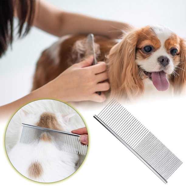 Artículos para mascotas para perros y gatos Diseño duradero de acero inoxidable para uso en interiores y exteriores Perfecto para alimentar y dar de beber