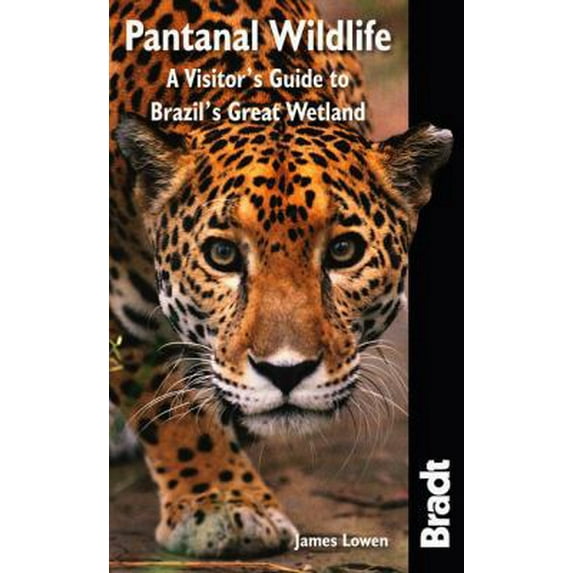Pre-Owned Bradt Pantanal Wildlife : A Visitor's Guide to Brazil's Great Wetland - Paperback