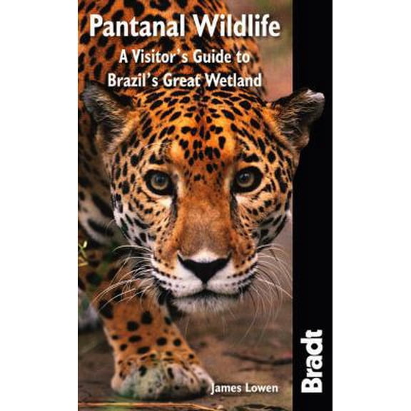 Pre-Owned Bradt Pantanal Wildlife : A Visitor's Guide to Brazil's Great Wetland - Paperback