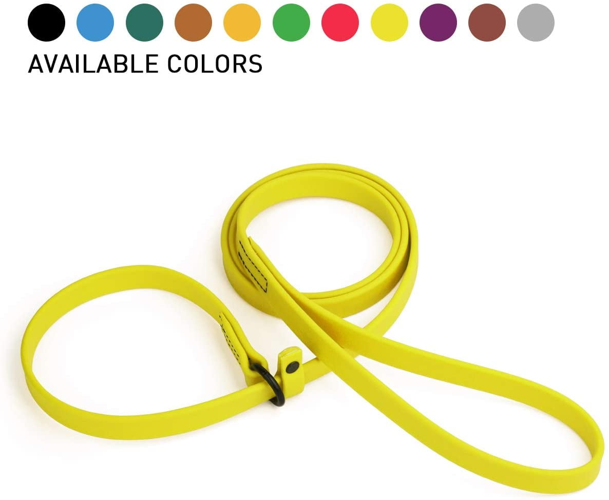 Dogline Biothane Slip Dog Leash for Small, Medium and Large Dogs