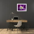 thumbnail image 3 of Markovic, Vojislav 32x25 White Modern Wood Framed Museum Art Print Titled - Violet, 3 of 4