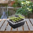 thumbnail image 1 of 6-Hole Indoor Seed Starting Kit with LED Grow Light, Humidity Dome, Plant Labels, USB Powered - Complete Seedling Starter Tray System with Drainage & Air Ventilation for Home Garden, 1 of 6