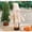 B, variant on Santa Doll Bottle Cover Cute Red Bottle Decorative Atmosphere Bottle Bows Housewarming Bag Christmas Bag Glasses Hand Blown Canvas Bags for Bottles Opener Bag Label Christmas Women Body Glass Sack