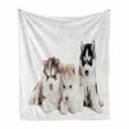 thumbnail image 1 of Alaskan Malamute Soft Flannel Fleece Throw Blanket, 3 Little Siberian Puppies Blue Eyes Friends Pedigree Image, Cozy Plush for Indoor and Outdoor Use, 70" x 90", Multicolor, by Ambesonne, 1 of 6