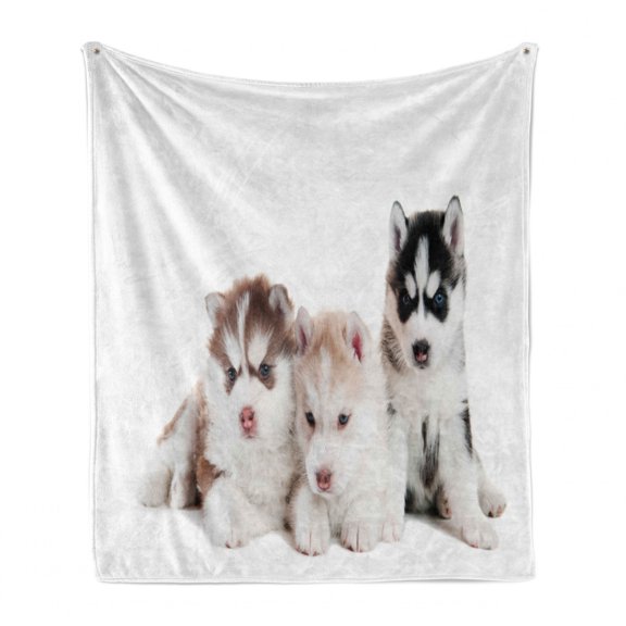 Alaskan Malamute Soft Flannel Fleece Throw Blanket, 3 Little Siberian Puppies Blue Eyes Friends Pedigree Image, Cozy Plush for Indoor and Outdoor Use, 50" x 60", Multicolor, by Ambesonne