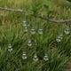 thumbnail image 3 of 10 Uds. Decoraciones para árboles de Navidad carámbanos gotas de hielo colgantes de vidrio compatibles con decoraciones navideñas colgantes, 3 of 5