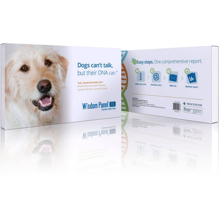 Dog Breed Testing Kit Reviews Dog Breed Testing Kit Reviews