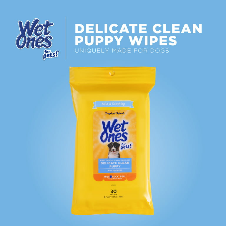 WET ONES Deodorizing Multi-Purpose Tropical Splash Scent Dog Wipes, 30  count 