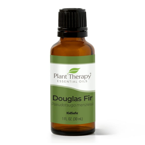 Plant Therapy Douglas Fir Essential Oil 30 mL (1 oz) 100% Pure, Therapeutic Grade, Undiluted