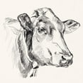 thumbnail image 2 of Parker, Jennifer Paxton 26x26 White Modern Wood Framed Museum Art Print Titled - Holstein Portrait Sketch I, 2 of 4