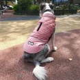 thumbnail image 5 of Abrigo de invierno, chaleco pequeño, impermeable, mediano y grande, para mascotas, bulldog, labrador, chaqueta francesa, ropa cálida, disfraces para perros, 5 of 5