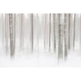 thumbnail image 3 of Lindsten, Christian 18x13 Black Modern Framed Museum Art Print Titled - Winterforest In Sweden, 3 of 5