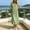 *Green, variant on Women's V Neck Cutout Flare Short Sleeve Midi Dress ,Elegant Casual Loose Summer Dress White,Women's Plus M