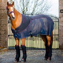 Rambo Sport Cooler (No Fill), Navy (Burgundy/Teal Trim), Size: 72