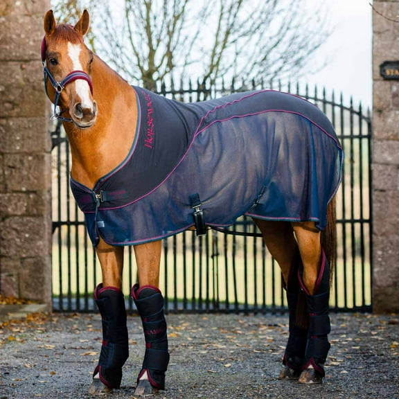 Rambo Sport Cooler (No Fill), Navy (Burgundy/Teal Trim), Size: 84