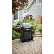Weber Q2800N+ Gas Grill (Liquid Propane) With Stand Bundle, Smoke Grey
