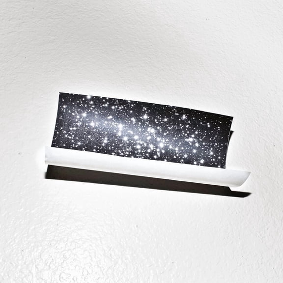 Bear in Heaven - Time Is Over One Day Old - Music & Performance - Vinyl