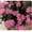 Purple, variant on Faux Lemons, Outdoor Flowers Artificial For Porch, Cherry Blossom Flowers, Fake Flowers In Pots, Flower Hanging, Fake Plants Large, Faux Hydrangea Plants Outdoor