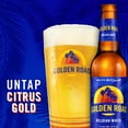 thumbnail image 5 of Golden Road Belgian White Craft Beer 6 pack 12 fl oz Glass Bottles 5% ABV, 5 of 8
