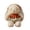 C丨20cm, variant on zhonghuaying Cute Bunny Stuffed Animal, 4 Color Styles & 2 Sizes (20cm/30cm), Soft Plush Toy, Adorable Rabbit Plushie Gift for Boys Girls (A丨20cm)