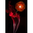 thumbnail image 2 of Yakubovitch, Azriel 23x32 Gold Ornate Wood Framed with Double Matting Museum Art Print Titled - Red Buttercup, 2 of 4