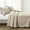 Neutral, variant on Lush Decor Medallion Scallop Bedspread - Light Gray - King