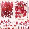 thumbnail image 2 of UPINS Fleurs Séchées Rouges Pressées pour Moules en Résine, kit de Fleurs Séchées Naturelles pour Scrapbooking Fleurs Séchées pour Résine Fleurs Séchées pour Faire des Bougies en Savon Bricolage, 2 of 7