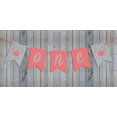 thumbnail image 3 of Inkdotpot Birthday Party DecorationsHappy Birthday Party GarlandBaby Girls PrincessPennant Banner Flag, 3 of 7