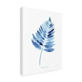 thumbnail image 4 of Canvas Wall Art - Jean Plout 'Indigo Botanical 2' Wall Art for Living Room, Bedroom, or Office Décor by Trademark Fine Art - 18 x 24 Inches, 4 of 4