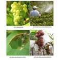 thumbnail image 4 of Bolsa de red para jardín de 100 Uds., bolsa de protección para vegetales y uvas, bolsa de malla antipájaros para Control de plagas agrícolas, bolsa para uvas, 20x25cm, 4 of 5