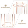 thumbnail image 2 of LEEYNEER Xlr Microphone Cables Xlr Cable Black PVC for Home Use Sleek Design 1Pack, 2 of 8