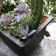 thumbnail image 3 of 4.7 Inch Bonsai Training Pots, Plastic Succulent Pots for Indoor Outdoor, Square Bonsai Pots with Drainage Trays for Garden, Yard, Office, Living Room, Balcony (1Pcs), 3 of 3