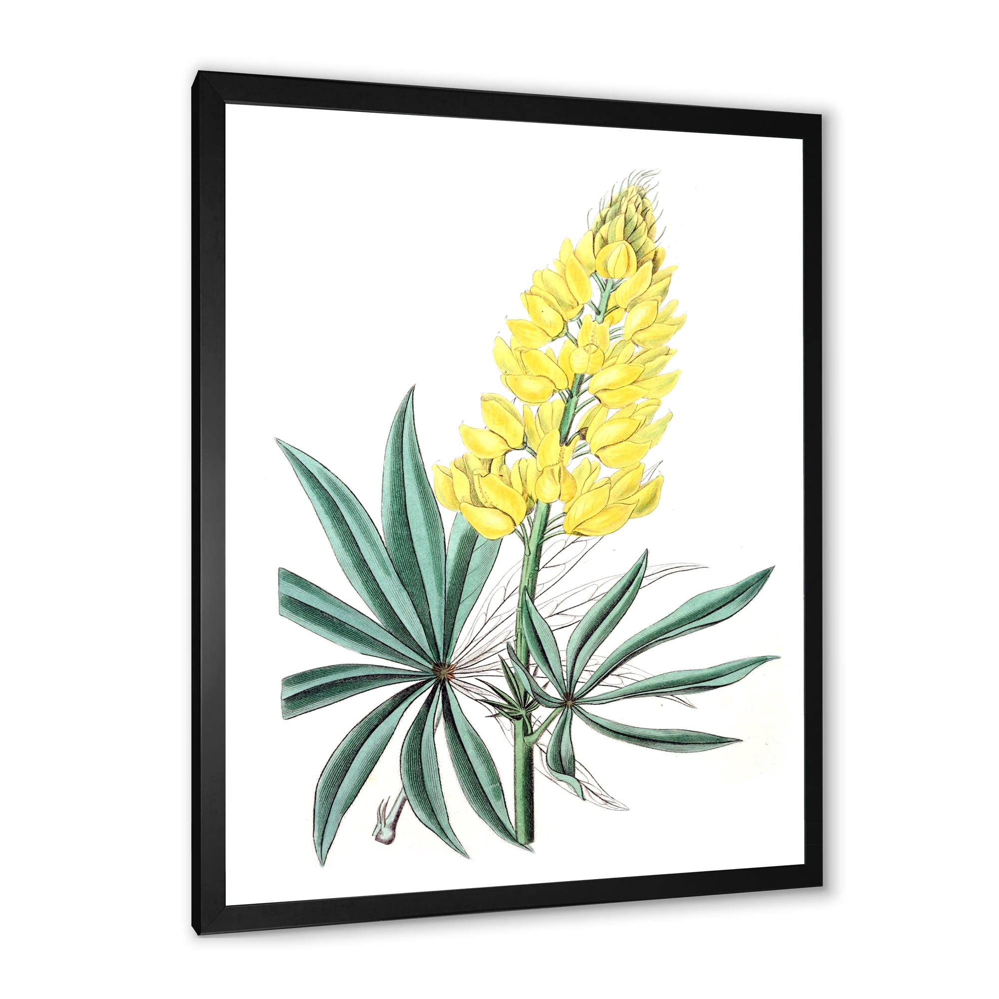 Designart 'Ancient Yellow Flower I' Traditional Framed Art Print