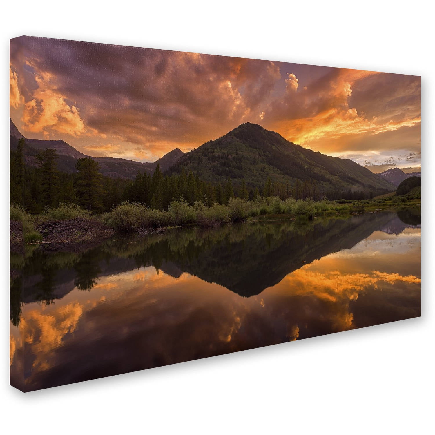 Trademark Fine Art "Orange Majesty" Canvas Art by Michael Blanchette Photography