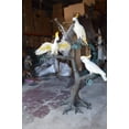 thumbnail image 4 of Nifao Three Cockatoo on a Tree Bronze Statue – Outdoor Garden Decor Sculpture, 55"L x 34"W x 68"H, 4 of 12