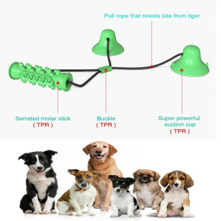 Suction Cup Dog Toy, Dog Rope Ball Pull Toy with Double Suction Cup Dog  Toy, Rope Dog Chew Toys for Aggressive Chewers Teething Chew Toys Toothbrush