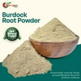 thumbnail image 2 of NY SPICE SHOP Great Burdock Root Powder - 1 Pound - Arctium Lappa Root Powder - Gobo Root Powder, 2 of 7