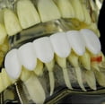 thumbnail image 3 of White Grillz Bottom Teeth  Removable False Fake Six Teeth Plastic Grill Hip Hop Mouth Grills, 3 of 5