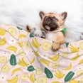 thumbnail image 3 of Yiaed Banana With Leaves Print Dog Blankets-Cat Blanket Washable for Couch Protection,Puppy Blanket, Soft Plush Reversible Throw Furniture Protector-Medium, 3 of 8
