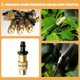 thumbnail image 4 of ELAYARD 16Ud Aspersor Para Manguera Con Boquilla De Niebla Para Eficiente En Exteriores, 4 of 8
