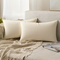 REGALWOVEN Pack of 2 Velvet Decorative Throw Pillow Covers Modern Cushion Covers with Zipper Beige 12" x 20"