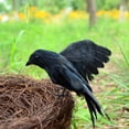 thumbnail image 4 of Pájaro simulado de Halloween aterrador Toystoory JJ25752-00B 15cm plumas negras, 4 of 6