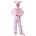 thumbnail image 1 of Kids Pig Costume, 1 of 1